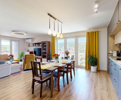 Jedinečný 4pokojový penthouse s panoramatickými výhledy, Bory, 2x park