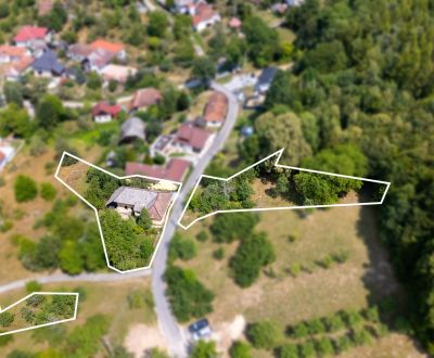 Prodej Rodinný dům, Rodinný dům, Guzice, Myjava, Slovensko