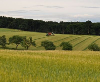 Hledáme Zemědělské a lesní, Zemědělské a lesní, Myjava, Slovensko