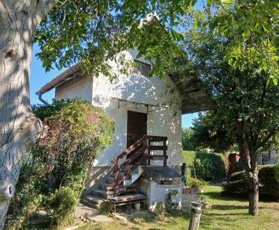 Prodej Zahrady, Zahrady, Havrania, Senec, Slovensko