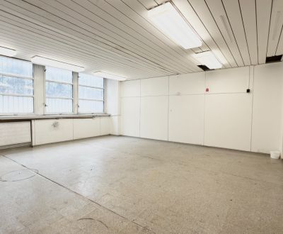Pronájem Haly a sklady, Haly a sklady, Strojnícka, Bratislava - Ružino