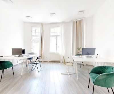 Reprezentativní kanceláře ve staroměstském stylu - Devín palác, BA I