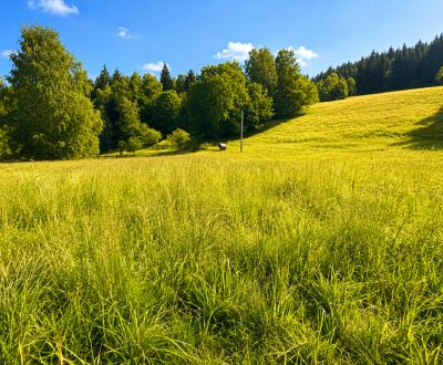 Prodej Pozemky - bydlení, Pozemky - bydlení, Kopanice, Čadca, Slovensk