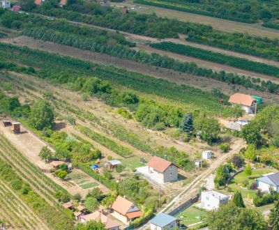 Prodej Vinice, Vinice, Horný Ohaj, Nitra, Slovensko