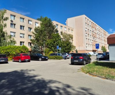 Pronájem Byt 1+1, Byt 1+1, Bratislavská cesta, Piešťany, Slovensko