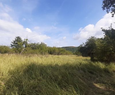 Prodej Pozemky - rekreace, Pozemky - rekreace, Horné Jabloňovce, Levic