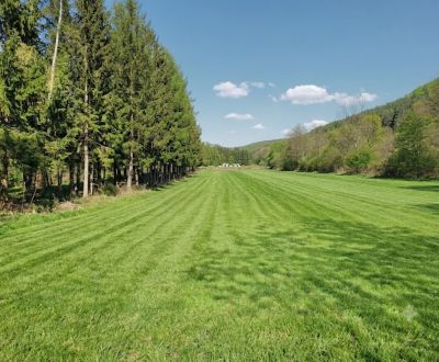 Prodej Pozemky - bydlení, Pozemky - bydlení, Detva, Slovensko