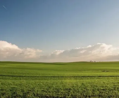 Pronájem Zemědělské a lesní, Trebišov, Slovensko