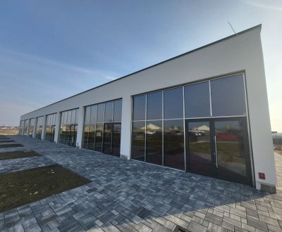Prodej Prostory pro obchod, Prostory pro obchod, Podjavorinskej, Senec