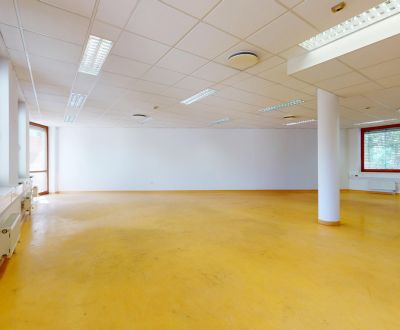 Pronájem Kancelářské prostory, Kancelářské prostory, Kukuričná, Bratis
