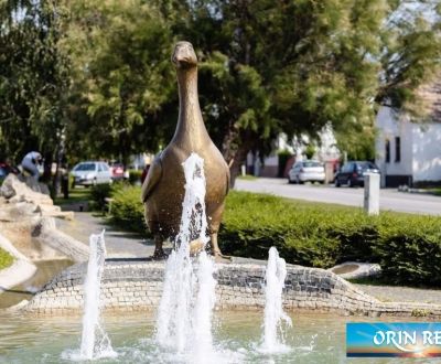 Prodej Pozemky - bydlení, Pozemky - bydlení, Orechová, Pezinok, Sloven