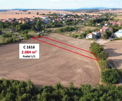 Pronájem Zemědělské a lesní, Nové Zámky, Slovensko