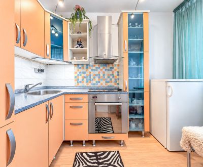 Prodej Byt 1+1, Byt 1+1, Bieloruská, Bratislava - Podunajské Biskupice