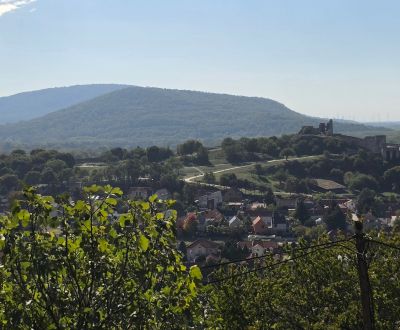 Prodej Zahrady, Zahrady, Spätná cesta, Bratislava - Devín, Slovensko