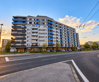 Prodej Byt 1+1, Byt 1+1, Uzbecká, Bratislava - Podunajské Biskupice, S