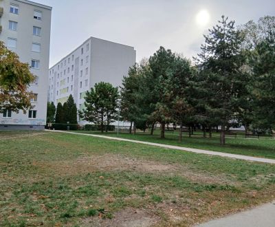 Prodej Byt 2+1, Byt 2+1, Narcisová, Bratislava - Ružinov, Slovensko
