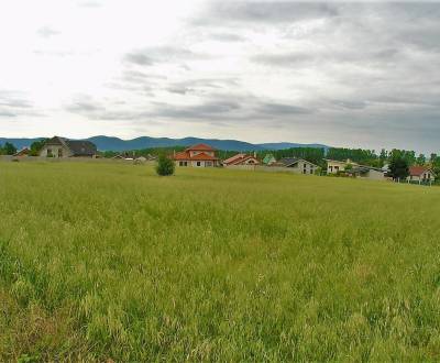 Pozemky - bydlení, Centrum, prodej, Trnava, Slovensko