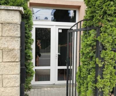 Pronájem Kancelářské prostory, Kancelářské prostory, Šamorínska, Senec