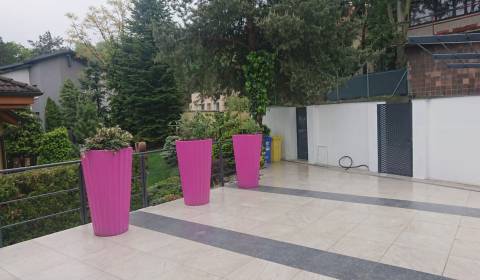 Pronájem Byt 4+1, Byt 4+1, Matúšová, Bratislava - Staré Mesto, Slovens