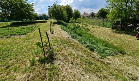 Pozemky - bydlení, Dvory nad Zitavou, prodej, Nové Zámky, Slovensko