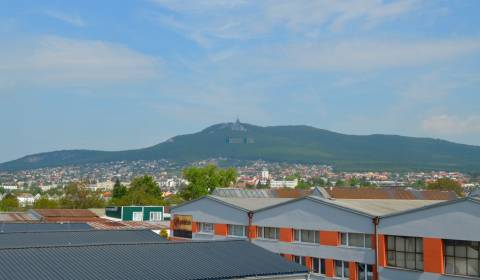 Kancelářské prostory, Levická, pronájem, Nitra, Slovensko