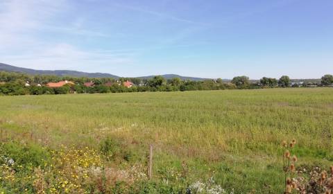 Pozemky - bydlení, prodej, Pezinok, Slovensko
