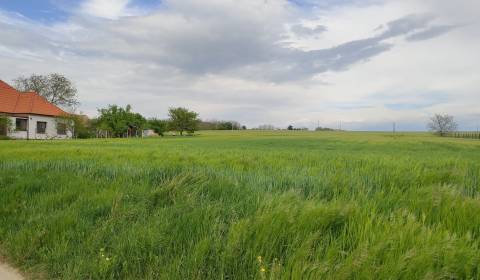 Pozemky - bydlení, Malé Zálužie, prodej, Nitra, Slovensko