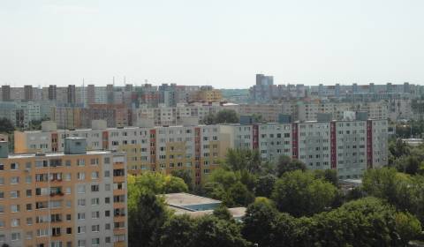 Byt 2+1, hledáme, Bratislava - Petržalka, Slovensko
