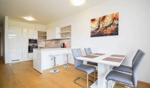 Byt 2+1, Karloveské rameno, pronájem, Bratislava - Karlova Ves, Sloven