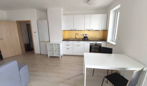 Byt 1+1, Kmeťova, pronájem, Nitra, Slovensko