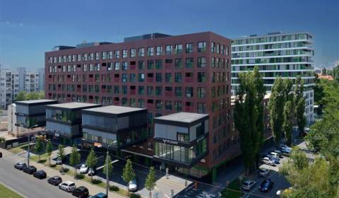 Kancelářské prostory, pronájem, Bratislava - Ružinov, Slovensko