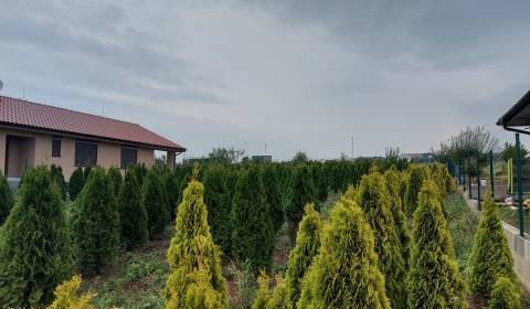 Pozemky - bydlení, prodej, Nitra, Slovensko