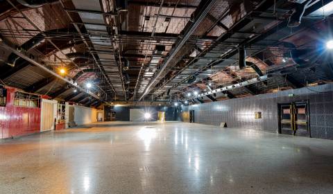 Pronájem Restaurace, Restaurace, Cintorínska, Bratislava - Staré Mesto