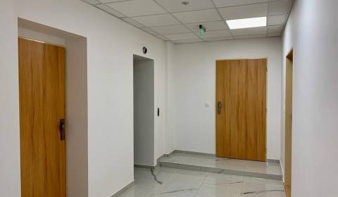 Kancelářské prostory, Gunduličova, pronájem, Bratislava - Staré Mesto,