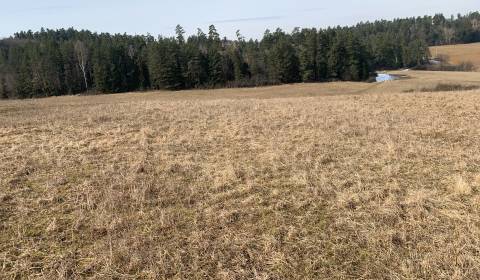 Zemědělské a lesní, prodej, Spišská Nová Ves, Slovensko