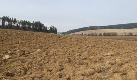 Prodej Zemědělské a lesní, Zemědělské a lesní, Spišská Nová Ves, Slove