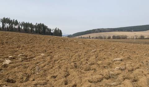 Zemědělské a lesní, prodej, Spišská Nová Ves, Slovensko