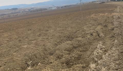 Zemědělské a lesní, prodej, Spišská Nová Ves, Slovensko