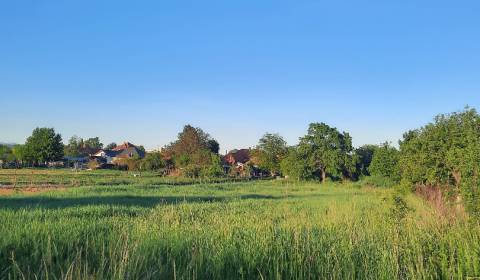 Pozemky - bydlení, Vajka nad Žitavou, prodej, Nitra, Slovensko