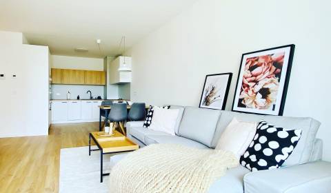 Pronájem Byt 2+1, Byt 2+1, Inovecká, Košice - Západ, Slovensko