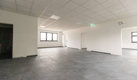 Pronájem Kancelářské prostory, Kancelářské prostory, Elektrárenská, Br