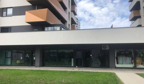 Prostory pro obchod, Muchovo nám., pronájem, Bratislava - Petržalka, S