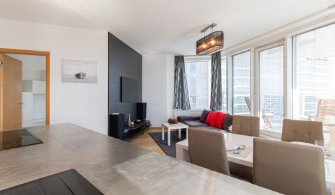 Pronájem Byt 4+1, Byt 4+1, Landererova, Bratislava - Staré Mesto, Slov