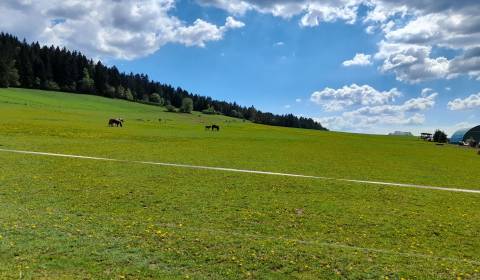 Zemědělské a lesní, Kunerad, prodej, Žilina, Slovensko