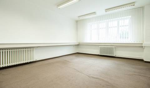 Kancelářské prostory, Fraňa Kráľa, pronájem, Bratislava - Staré Mesto,