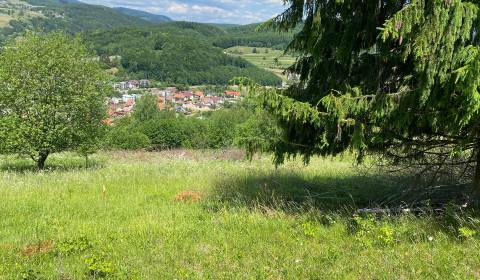 Pozemky - bydlení, prodej, Detva, Slovensko