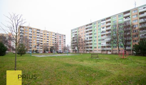Pronájem Byt 1+1, Byt 1+1, Gen. Goliana, Trnava, Slovensko