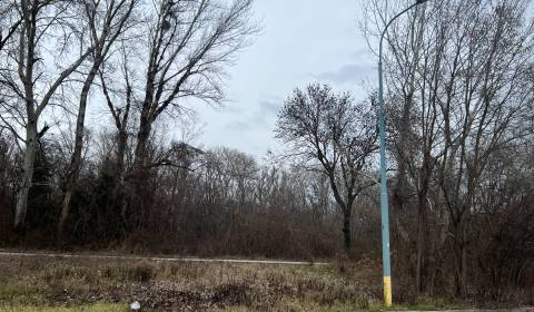 Prodej Pozemky - komerční, Pozemky - komerční, Betliarska, Bratislava