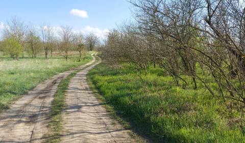 Prodej Pozemky - bydlení, Pozemky - bydlení, Lesná, Komárno, Slovensko