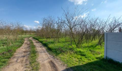 Prodej Pozemky - bydlení, Pozemky - bydlení, Lesná, Komárno, Slovensko